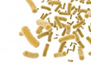 Bacterias amarillas en forma de barra sobre fondo blanco, ilustración digital . - foto de stock