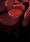 Glóbulos rojos, ilustración digital abstracta . - foto de stock