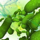 Зелені бактерії, абстрактна цифрова ілюстрація . — стокове фото