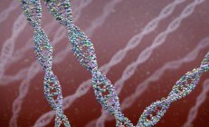 DNA strands, conceptual scientific digital illustration. — Stock Photo