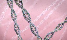 Fio de DNA sobre fundo rosa, ilustração digital . — Fotografia de Stock