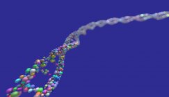 Filamento de ADN sobre fondo azul, ilustración digital . - foto de stock