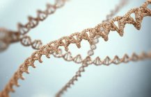 DNA strands, digital illustration. — Stock Photo