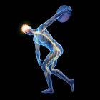 Discus thrower nervous system, digital illustration. — Stock Photo