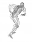 Skelettsystem eines Rugby-Spielers, digitale Illustration. — Stockfoto