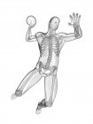 Скелетна система гандболіста, цифрова ілюстрація . — стокове фото