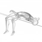 High jumper skeletal system, digital illustration. — Stock Photo