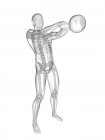 Human silhouette swinging kettle bell with visible skeletal system, digital illustration. — Stock Photo