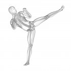 Kickboxing silhouette humaine avec système squelettique visible, illustration numérique . — Photo de stock