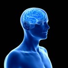 Silhouette humaine bleue avec cerveau visible sur fond noir, illustration numérique
. — Photo de stock