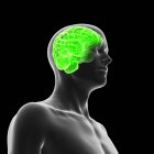 Silueta humana con cerebro verde iluminado sobre fondo negro, ilustración digital . - foto de stock