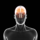 Silhouette humaine avec cerveau illuminé rouge sur fond noir, illustration numérique . — Photo de stock