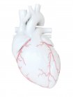 Cuore umano con arterie coronarie, illustrazione digitale . — Foto stock