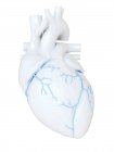 Людське серце з коронарними венами, цифрова ілюстрація . — стокове фото