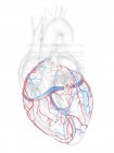 Серце людини з ішемічною кров'ю судин, цифрова ілюстрація. — Stock Photo