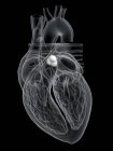 Anatomía del corazón humano que muestra válvula pulmonar, ilustración digital . - foto de stock