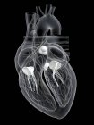 Corazón humano con válvulas, ilustración digital . - foto de stock