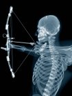 Скелетна структура лучника, цифрова ілюстрація . — стокове фото