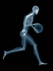 Basketball player skeletal structure, digital illustration on black background. — Stock Photo