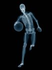 Skelettstruktur eines Basketballspielers, digitale Illustration auf schwarzem Hintergrund. — Stockfoto