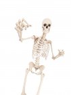 Boxer scheletrico, illustrazione digitale . — Foto stock