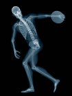 Обсуждение скелетной системы метателя, цифровая иллюстрация . — стоковое фото