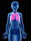 Silueta femenina con pulmones visibles, ilustración digital . - foto de stock