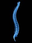 Colonna vertebrale umana blu su sfondo nero, illustrazione digitale . — Foto stock