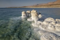 Rocce cristallizzate lungo la riva del Mar Morto, Israele . — Foto stock