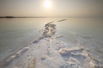 Cristalización de la sal causada por la evaporación del agua, Mar Muerto, Israel . - foto de stock