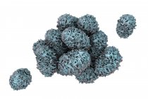Esporos de moldes tóxicos do fungo Stachybotrys chartarum, ilustração digital
. — Fotografia de Stock