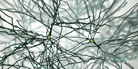Digitale Illustration pyramidenförmiger Nervenzellen aus der Großhirnrinde. — Stockfoto