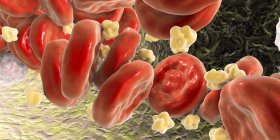 Digitale Illustration von Bällen mit Cholesterinlipiden in Blutgefäßen. — Stockfoto