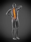 Vista frontal del cuerpo masculino con dolor de espalda, ilustración conceptual . - foto de stock
