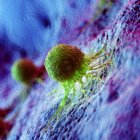 Cellule tumorali astratte di colore verde su tessuto, illustrazione digitale . — Foto stock