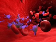 Активные тромбоциты в крови человека с эритроцитами и лейкоцитами, компьютерная иллюстрация
. — стоковое фото