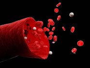 Абстрактні кровоносні судини з білими та червоними кров'яними тільцями, цифрова ілюстрація . — стокове фото