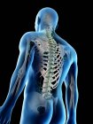 Anatomischer Männerkörper mit Skelett und Lymphsystem, digitale Illustration. — Stockfoto