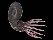 Uraltes Ammoniten-Tier auf schwarzem Hintergrund, Computerillustration. — Stockfoto