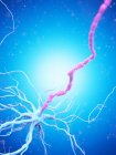 Nervenzelle mit rosafarbenem Axon auf blauem Hintergrund, digitale Illustration. — Stockfoto