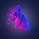Modelo de corazón humano colorido sobre fondo oscuro, ilustración por computadora . - foto de stock