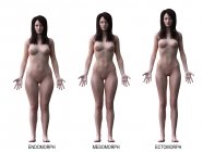 Diferentes tipos de corpos femininos, ilustração digital conceitual . — Fotografia de Stock