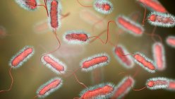 Ilustración digital de la bacteria Legionella pneumophila, causa de la enfermedad de Legionnaires
. - foto de stock