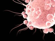 Цифровая концептуальная иллюстрация оплодотворения яйцеклетки сперматозоидами
. — стоковое фото