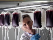 Зрілий чоловік лікар обробляє донорську кров в мішках . — стокове фото