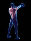 Muskulatur des Menschen beim Kettlebell-Workout, konzeptionelle digitale Illustration. — Stockfoto