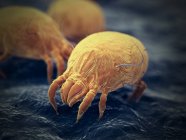 Цветная цифровая иллюстрация клещей паразитической пыли . — стоковое фото