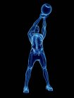 Huesos esqueléticos del hombre haciendo entrenamiento de kettlebell, ilustración digital conceptual . - foto de stock