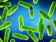 Abstrakte grüne Bakterien, Computerillustration. — Stockfoto