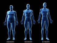 Male different body types on black background, computer illustration. — Stock Photo